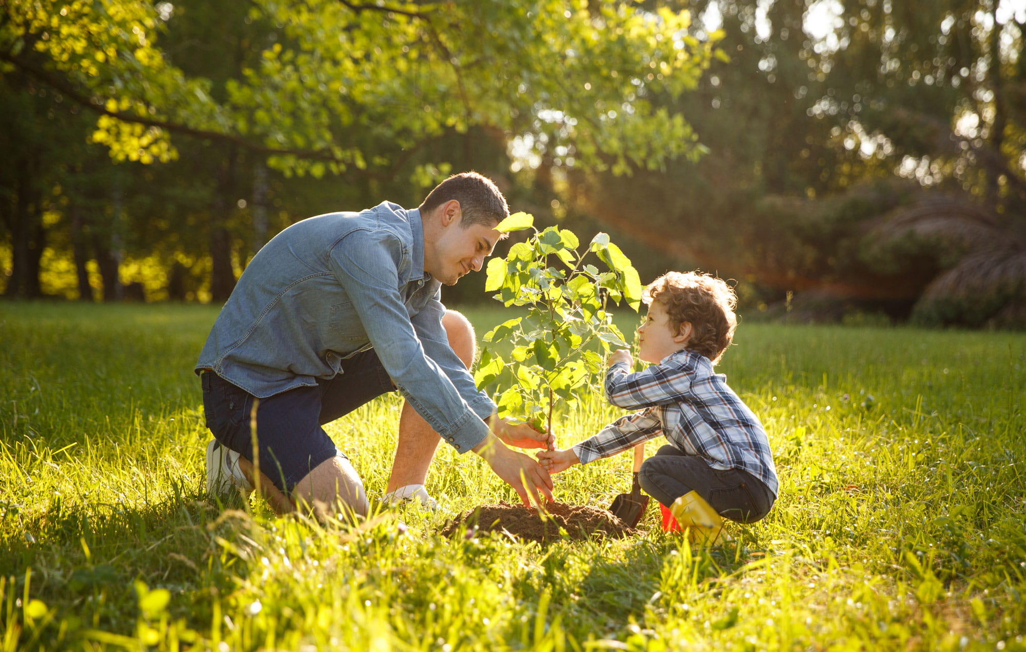 Father and son planting tree